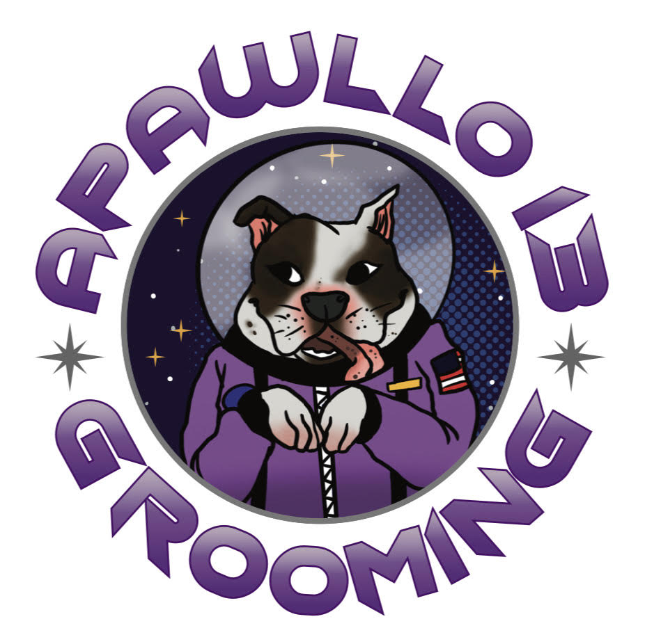 Apawllo 13 Grooming